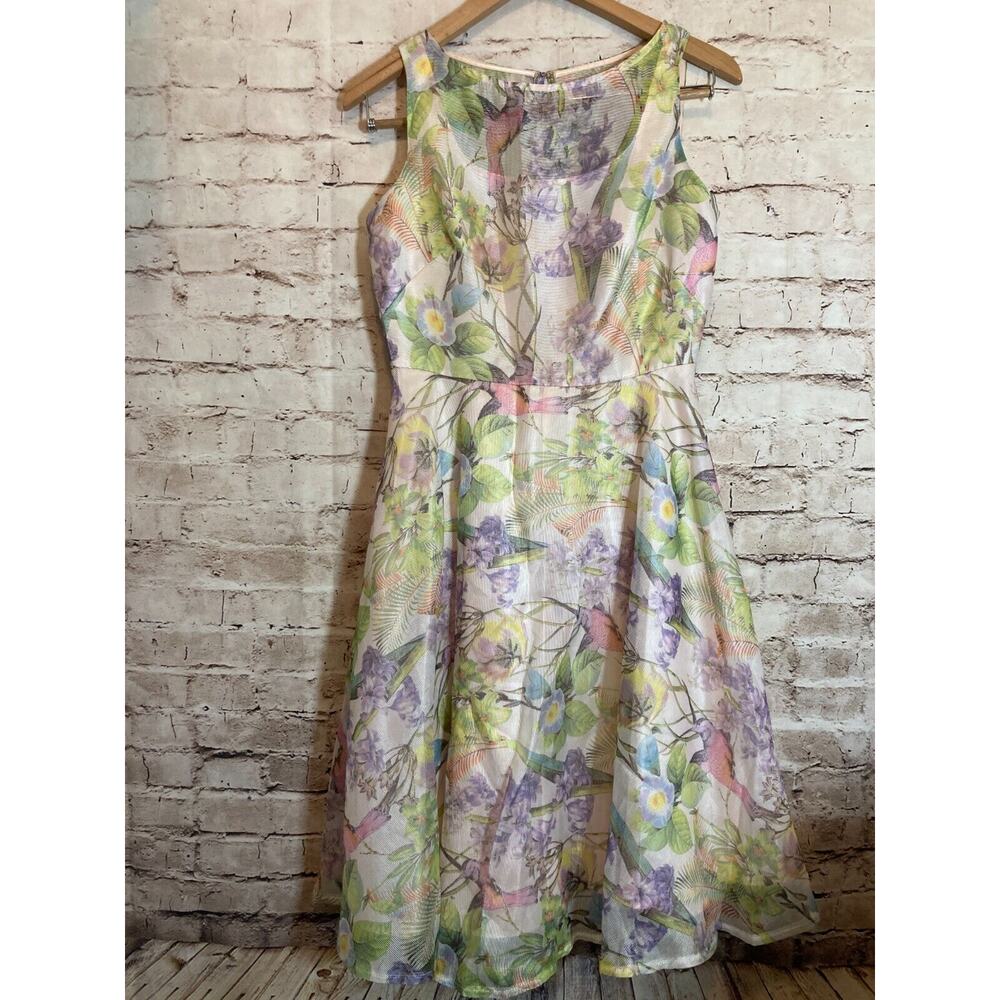 CB Midi Dress Womens 6 Spring Florals Hummingbirds Midi Mesh Overlay Coquette